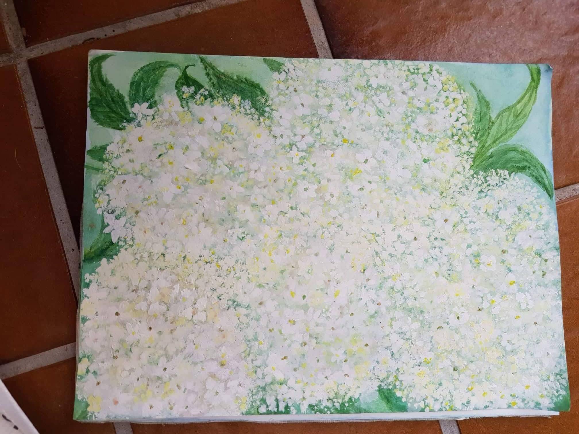 Aquarelle von Gisela Kentmann