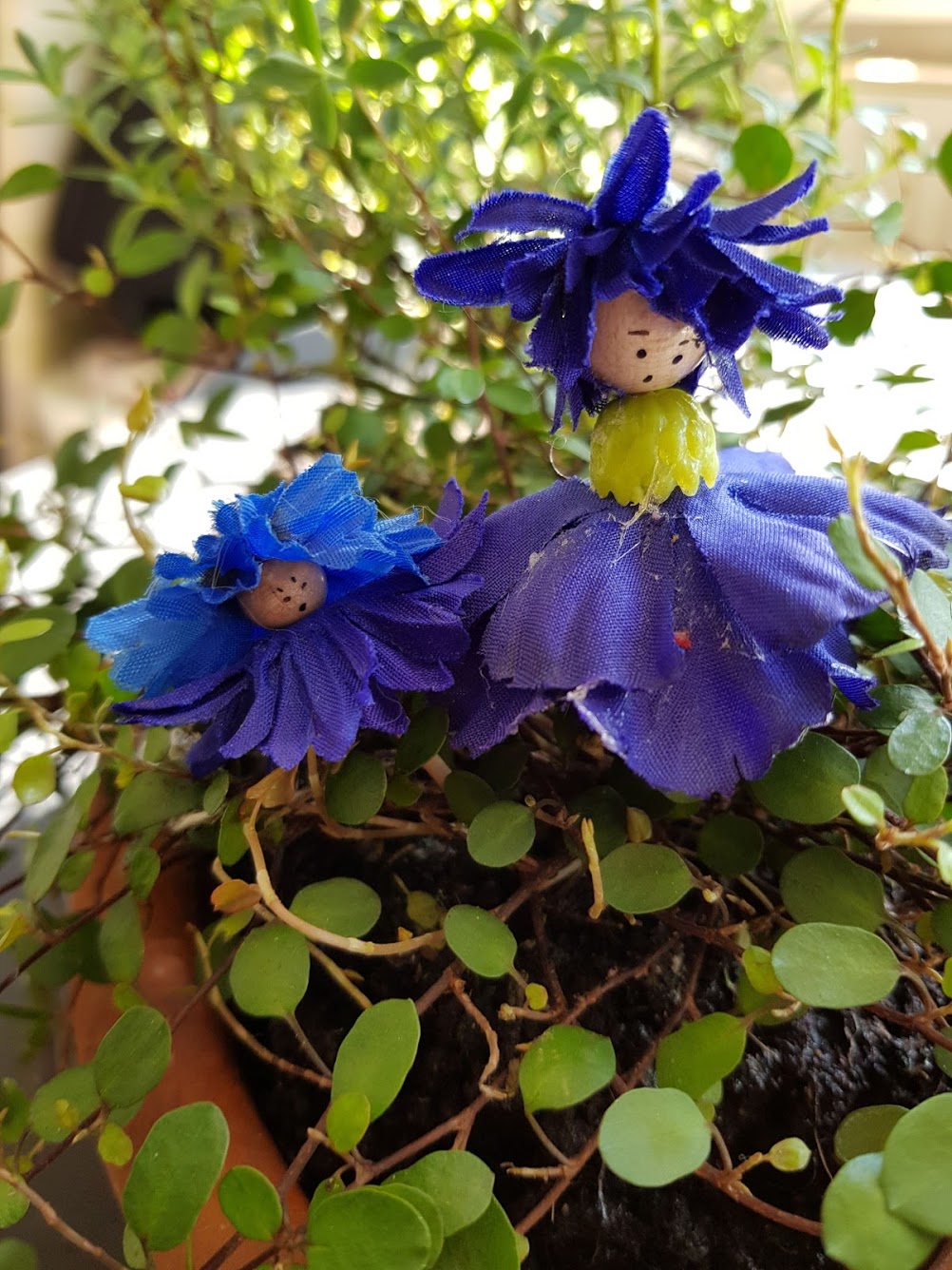 Elfen-von-Gisela-Kentmann