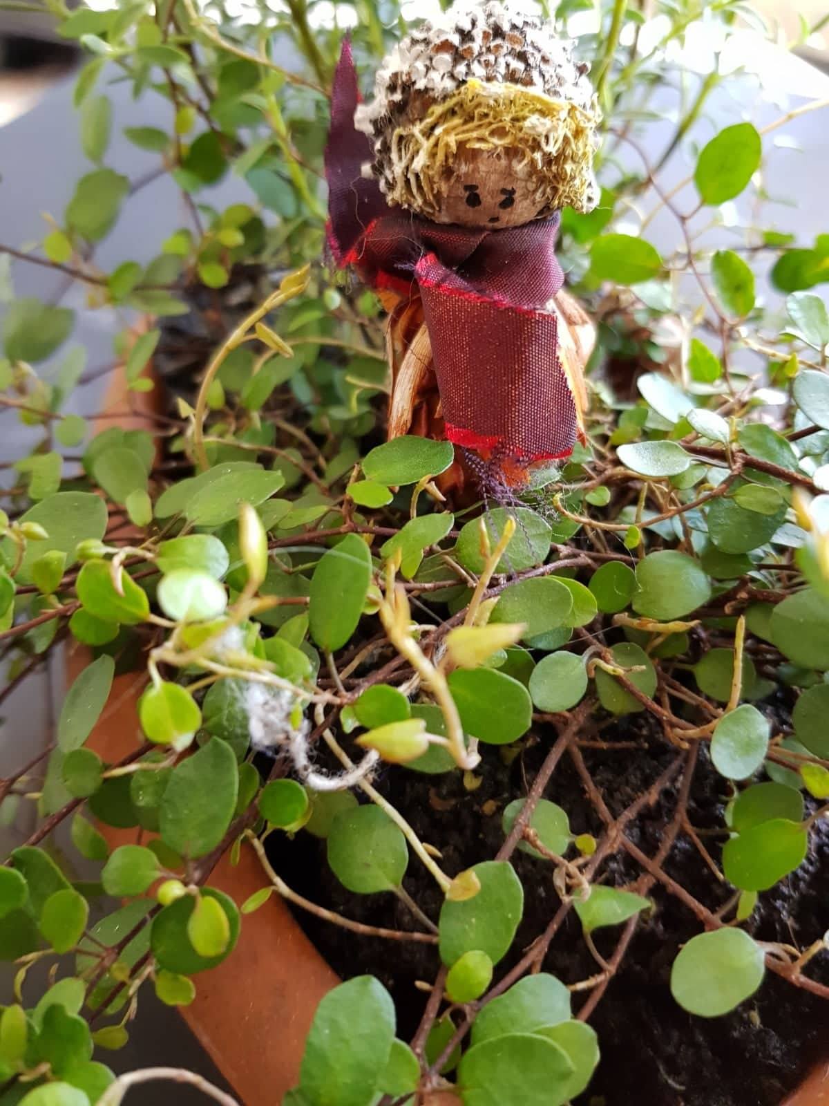 Schnee-Elfchen-von-Gisela-Kentmann