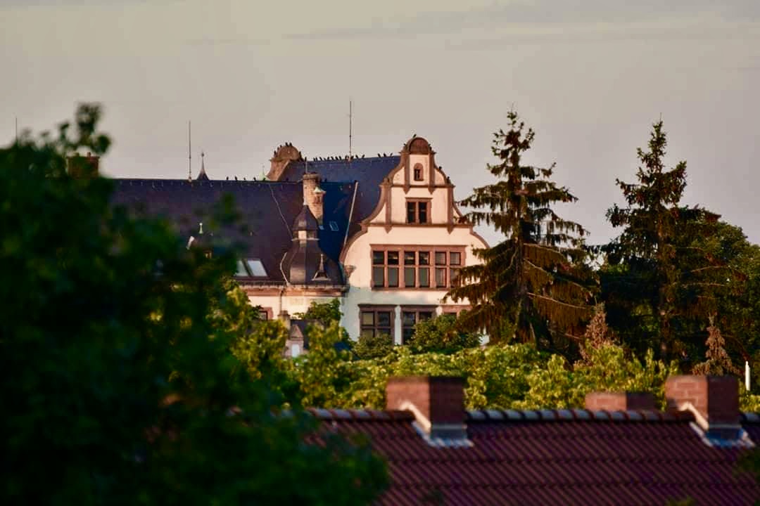 Westend Realschule Worms, da war ich Lehrerin